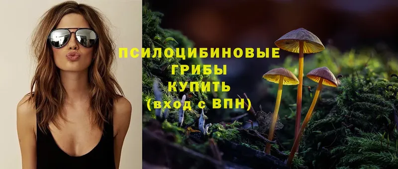 МЕГА ONION  Ленинск  Псилоцибиновые грибы GOLDEN TEACHER 